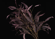 40 Inch Artificial Wine Willow Eucalyptus Long Stem 10 Pcs Silk Flower Stems for Table Centerpieces Baby Shower Party Home Decor