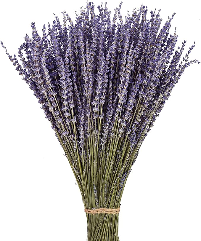 2 Bundles Dried Lavender Stalks, Bulk Natural Purple Dried Flowers for Decor