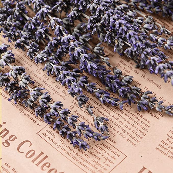 2 Bundles Dried Lavender Stalks, Bulk Natural Purple Dried Flowers for Decor