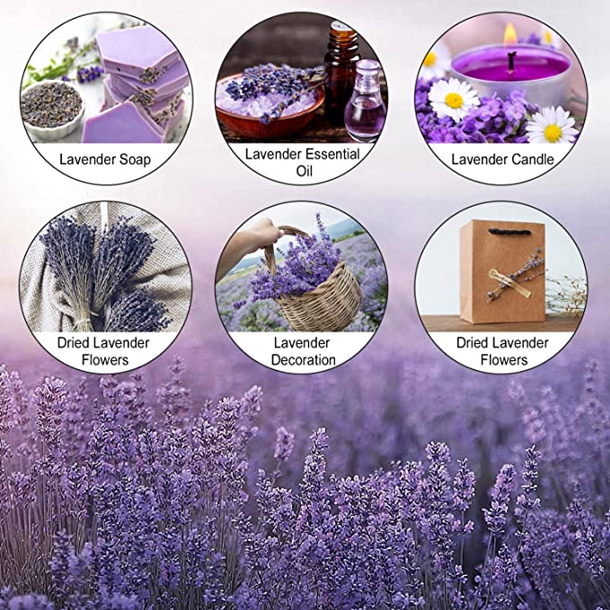 2 Bundles Dried Lavender Stalks, Bulk Natural Purple Dried Flowers for Decor