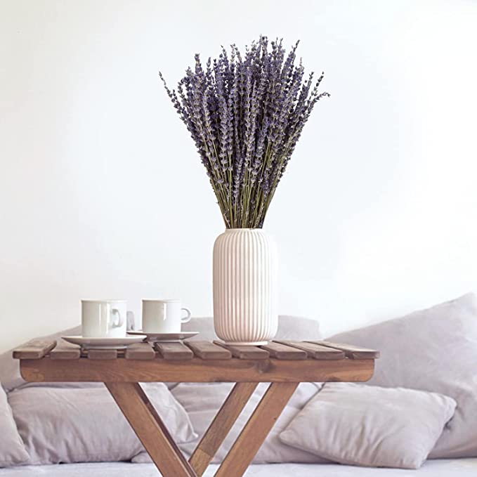 2 Bundles Dried Lavender Stalks, Bulk Natural Purple Dried Flowers for Decor