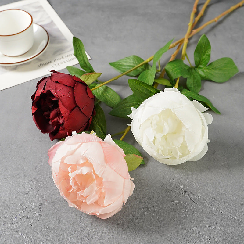 25 Inch Silk Peony Stems, 10 Pcs Artificial Flowers for Floral Arrangements