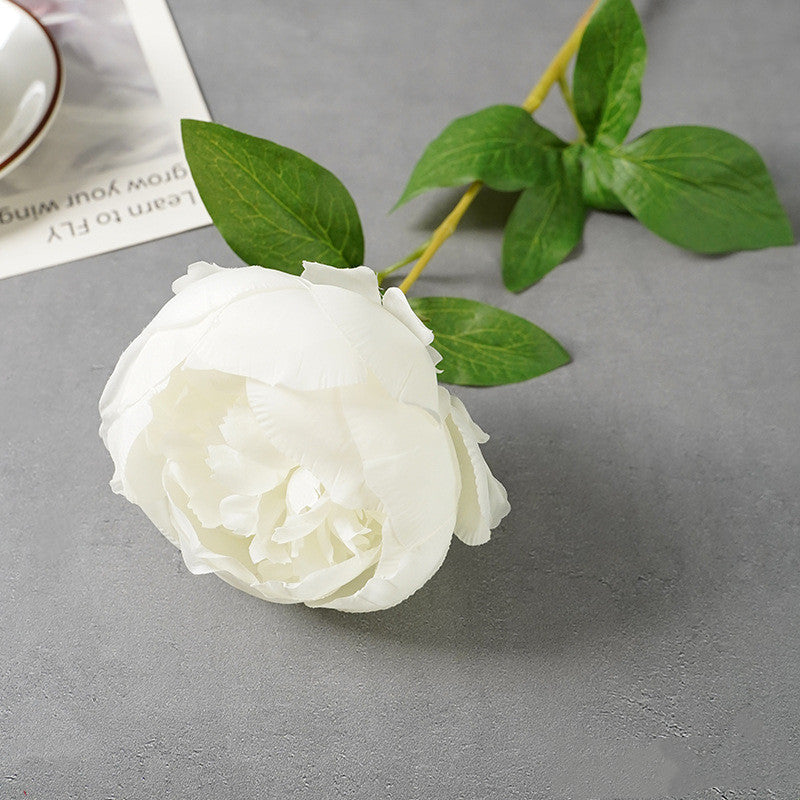 25 Inch Silk Peony Stems, 10 Pcs Artificial Flowers for Floral Arrangements