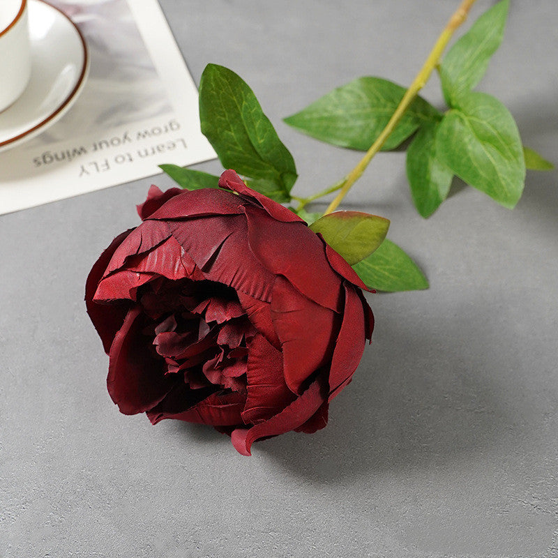 25 Inch Silk Peony Stems, 10 Pcs Artificial Flowers for Floral Arrangements