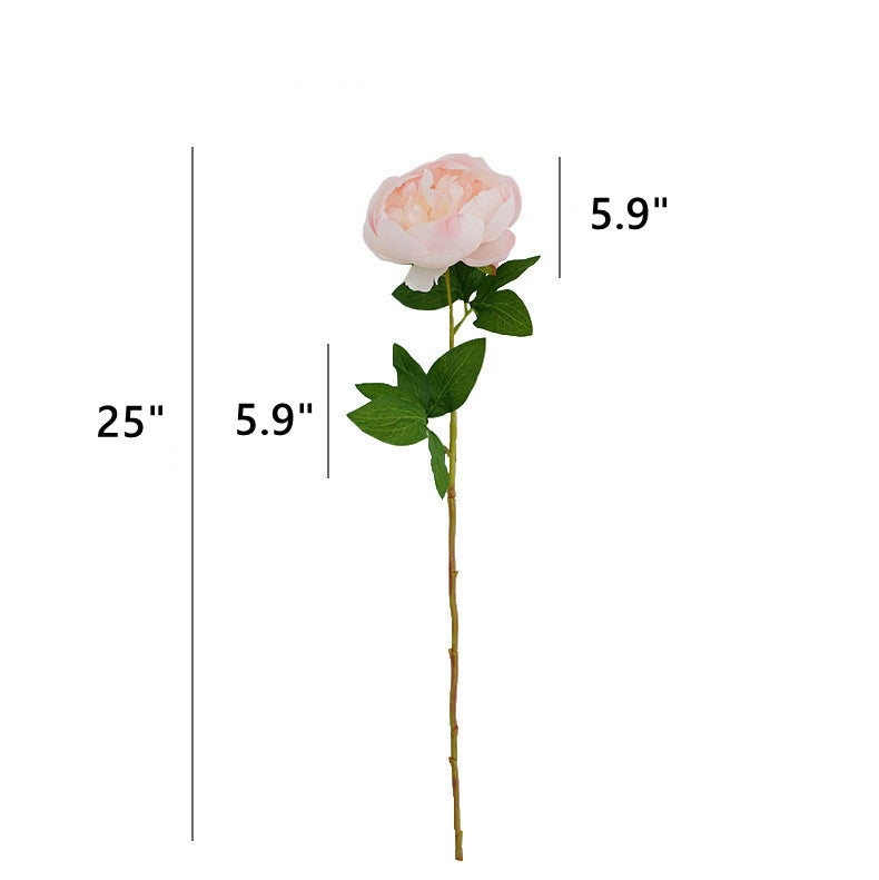 25 Inch Silk Peony Stems, 10 Pcs Artificial Flowers for Floral Arrangements
