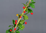 27 Inch Artificial Wolfberry Goji Stems Branches – 10 Pcs Silk Fruit Stems