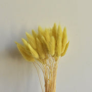 50 Pcs Natural Bunny Tails Dried Flowers, Soft Beige, 4-6 Inch Stems for Wedding, Baby Shower, Boho, Fall Decor