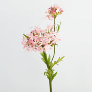 29 Inch Agapanthus Stems 10 Pcs Real Touch Artificial African Flower Arrangement