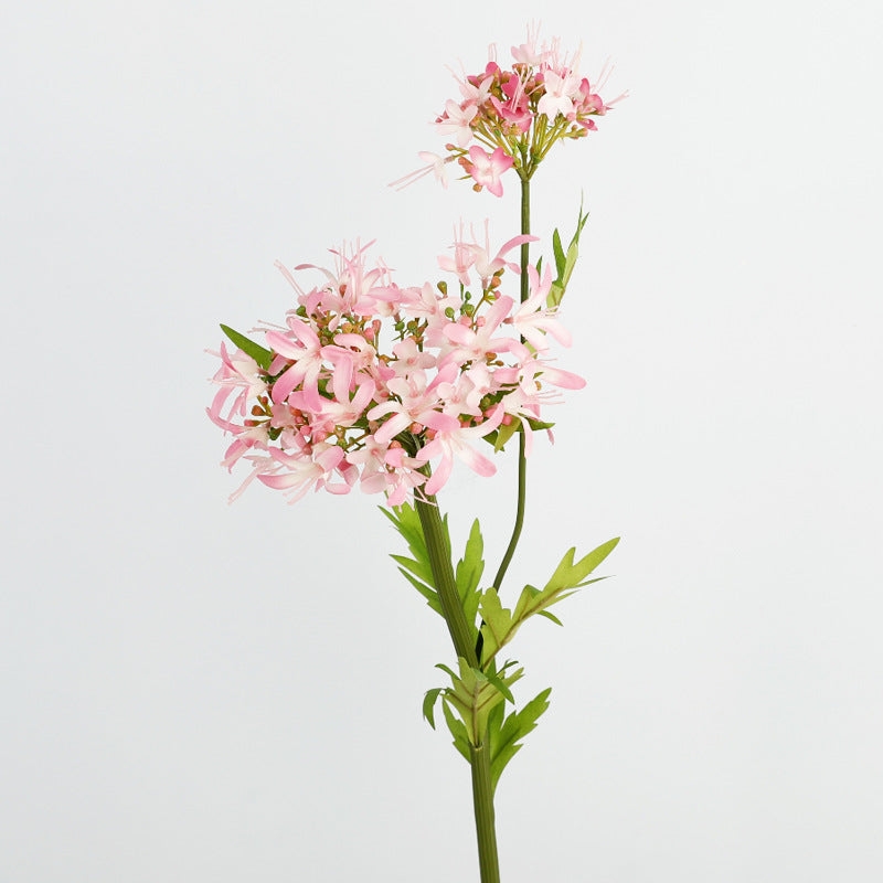 29 Inch Agapanthus Stems 10 Pcs Real Touch Artificial African Flower Arrangement