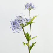29 Inch Agapanthus Stems 10 Pcs Real Touch Artificial African Flower Arrangement