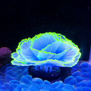 Glowing Effect Artificial Aquarium Plants 10 Pcs Lettuce Coral Glow for Fish Tank Decor