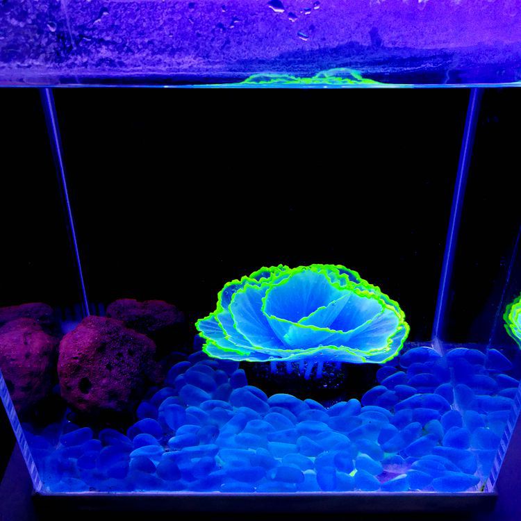 Glowing Effect Artificial Aquarium Plants 10 Pcs Lettuce Coral Glow for Fish Tank Decor