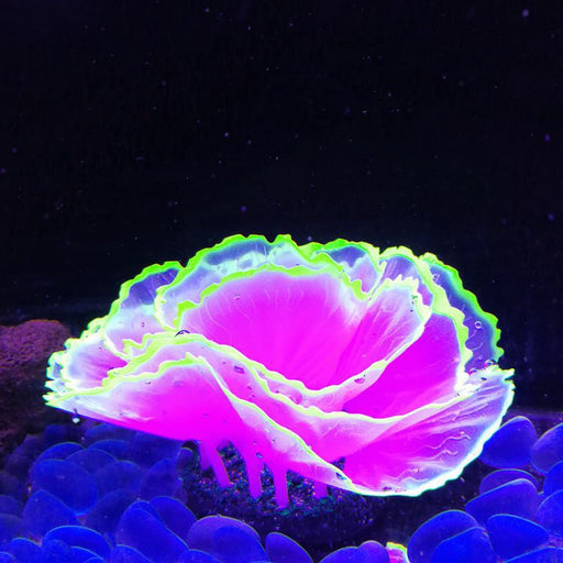 Glowing Effect Artificial Aquarium Plants 10 Pcs Lettuce Coral Glow for Fish Tank Decor