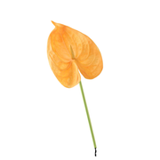 26 Inch Artificial Anthurium Stems 10 Pcs Real Touch Silk Flowers Bulk