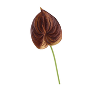 26 Inch Artificial Anthurium Stems 10 Pcs Real Touch Silk Flowers Bulk