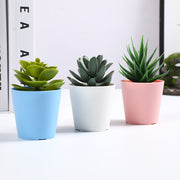 3 Pcs Artificial Succulent Plants Mini Potted Succulents in Vase Decor for Office Home