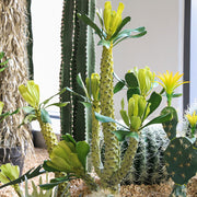Artificial Succulent Plants Bulk 12 Pcs in Pots, Realistic Silk Succulents for Home Decor