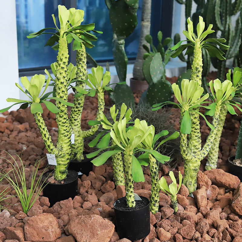 Artificial Succulent Plants Bulk 12 Pcs in Pots, Realistic Silk Succulents for Home Decor