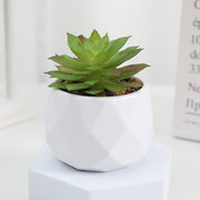 20 Pcs 5 Inch Artificial Succulent Potted Plants Bulk Set for Home Bathroom Table Decor