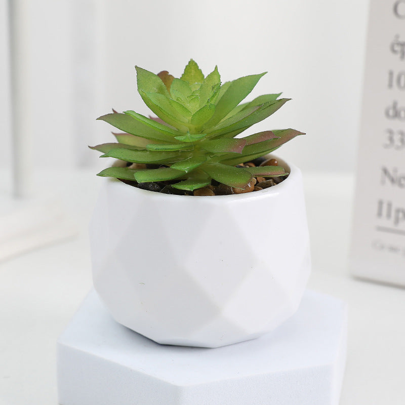 20 Pcs 5 Inch Artificial Succulent Potted Plants Bulk Set for Home Bathroom Table Decor