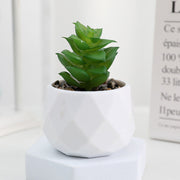 20 Pcs 5 Inch Artificial Succulent Potted Plants Bulk Set for Home Bathroom Table Decor