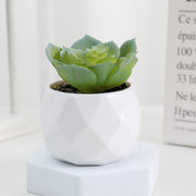 20 Pcs 5 Inch Artificial Succulent Potted Plants Bulk Set for Home Bathroom Table Decor