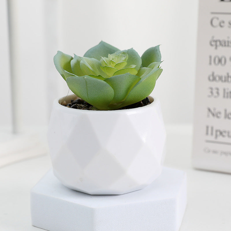 20 Pcs 5 Inch Artificial Succulent Potted Plants Bulk Set for Home Bathroom Table Decor