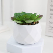 20 Pcs 5 Inch Artificial Succulent Potted Plants Bulk Set for Home Bathroom Table Decor