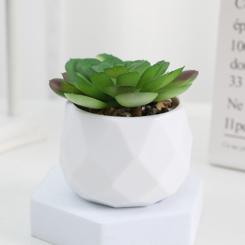 20 Pcs 5 Inch Artificial Succulent Potted Plants Bulk Set for Home Bathroom Table Decor