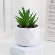 20 Pcs 5 Inch Artificial Succulent Potted Plants Bulk Set for Home Bathroom Table Decor