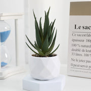20 Pcs 5 Inch Artificial Succulent Potted Plants Bulk Set for Home Bathroom Table Decor