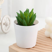 20 Pcs 5 Inch Artificial Succulent Potted Plants Bulk Set for Home Bathroom Table Decor