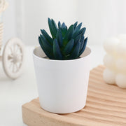 20 Pcs 5 Inch Artificial Succulent Potted Plants Bulk Set for Home Bathroom Table Decor