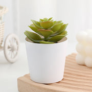 20 Pcs 5 Inch Artificial Succulent Potted Plants Bulk Set for Home Bathroom Table Decor
