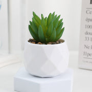 20 Pcs 5 Inch Artificial Succulent Potted Plants Bulk Set for Home Bathroom Table Decor