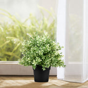 9 Inch Artificial Creeping Thyme Plant Arrangement in Pot, Bulk Wholesale Quantity
