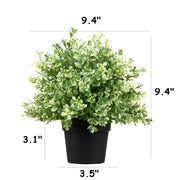 9 Inch Artificial Creeping Thyme Plant Arrangement in Pot, Bulk Wholesale Quantity
