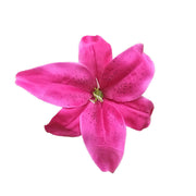 50 Pcs 5.5 Inch Artificial Silk Tiger Lily Flower Heads Bulk Pack