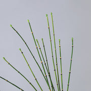 6 Pcs Artificial Greenery Twigs Branches Long Stems for Floral Arrangements