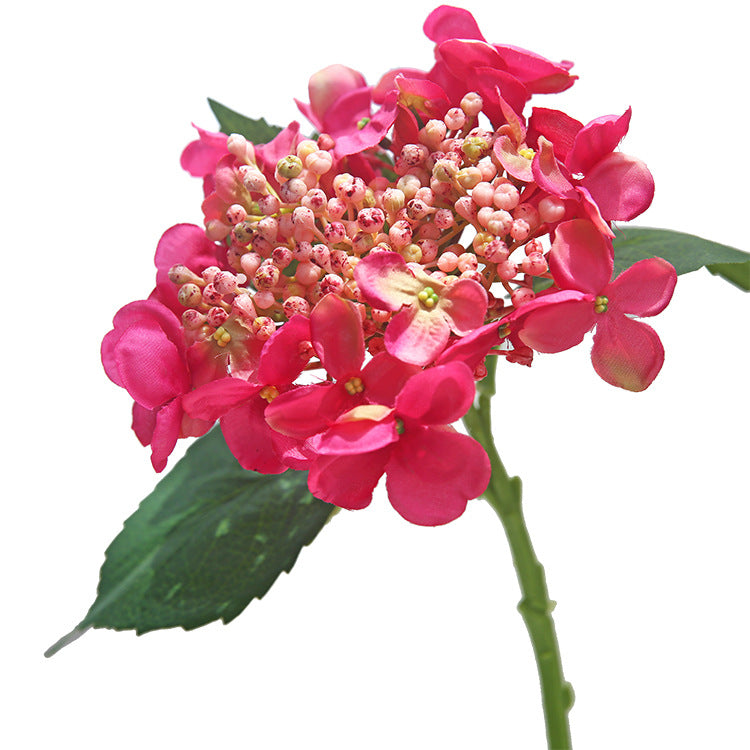 17 Inch Silk Hydrangea Stems with Seeds, 10 Pcs Artificial Flowers Bulk Pack