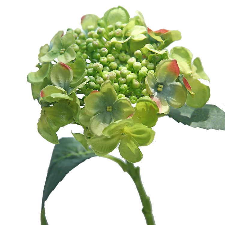 17 Inch Silk Hydrangea Stems with Seeds, 10 Pcs Artificial Flowers Bulk Pack