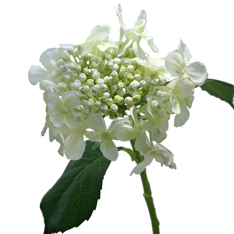 17 Inch Silk Hydrangea Stems with Seeds, 10 Pcs Artificial Flowers Bulk Pack