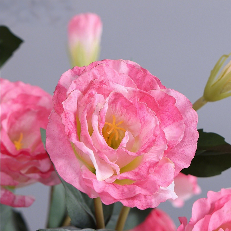 Artificial Lisianthus Flowers 6 Stems 12 Inch Realistic Silk Eustoma for Home Decor