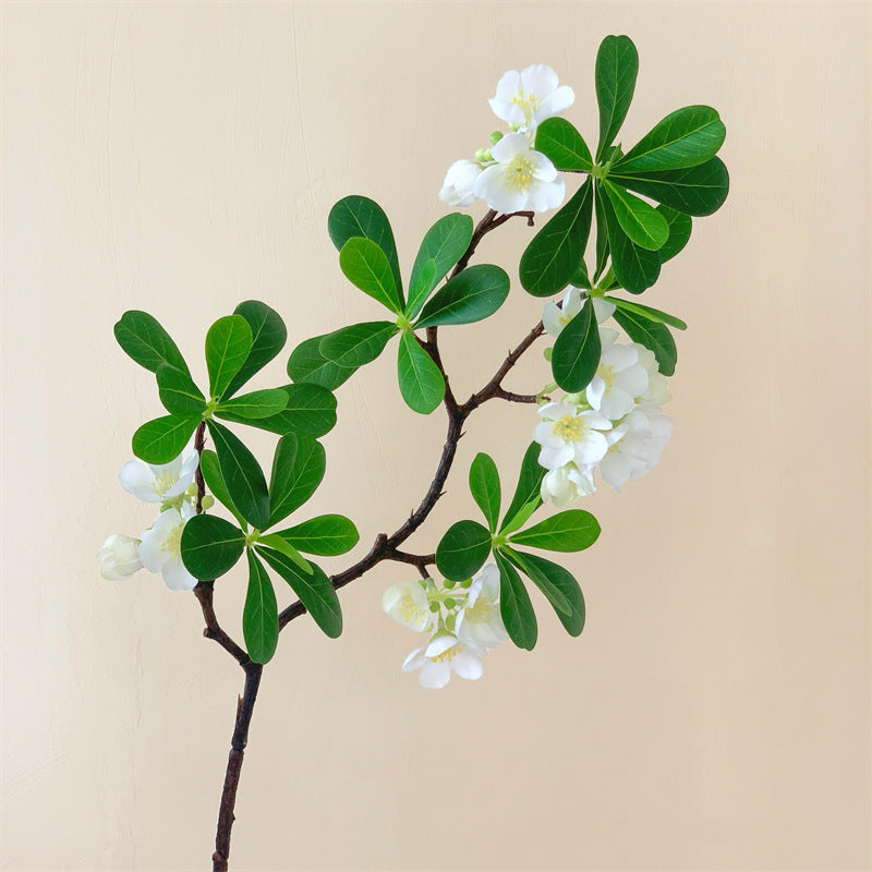 Artificial Pittosporum Stems 6 Pcs 20 Inch Green Silk Leaves for Home Wedding Decor