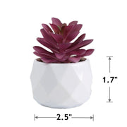 20 Pcs 5 Inch Artificial Succulent Potted Plants Bulk Set for Home Bathroom Table Decor