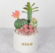 Artificial Potted Succulents 12 Pcs Bulk Set in Pots, Green Faux Plants for Home Decor