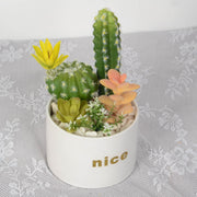 Artificial Potted Succulents 12 Pcs Bulk Set in Pots, Green Faux Plants for Home Decor