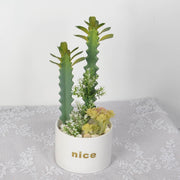 Artificial Potted Succulents 12 Pcs Bulk Set in Pots, Green Faux Plants for Home Decor
