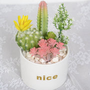 Artificial Potted Succulents 12 Pcs Bulk Set in Pots, Green Faux Plants for Home Decor