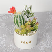 Artificial Potted Succulents 12 Pcs Bulk Set in Pots, Green Faux Plants for Home Decor